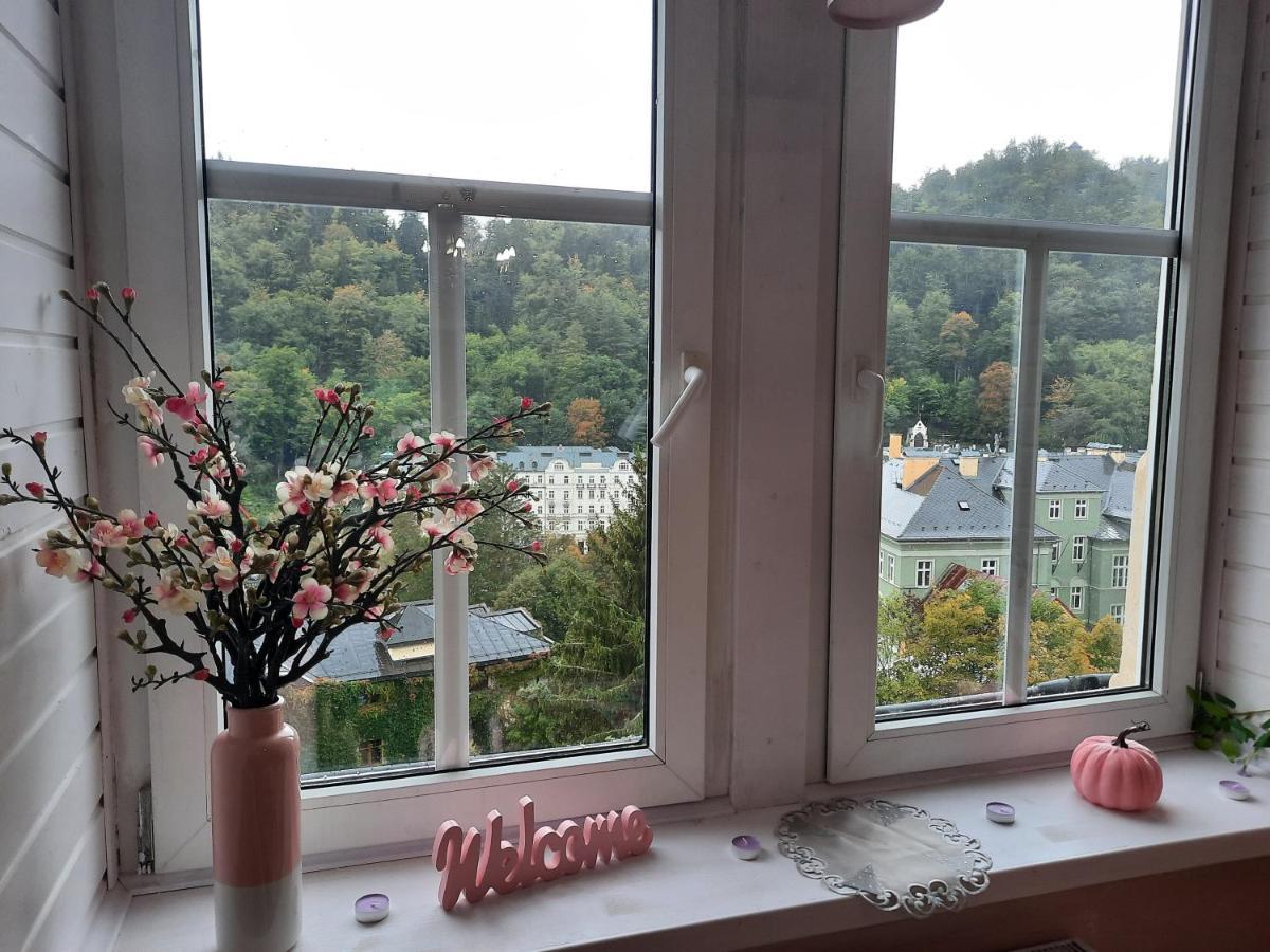 Romantic Karlovy Vary Kültér fotó